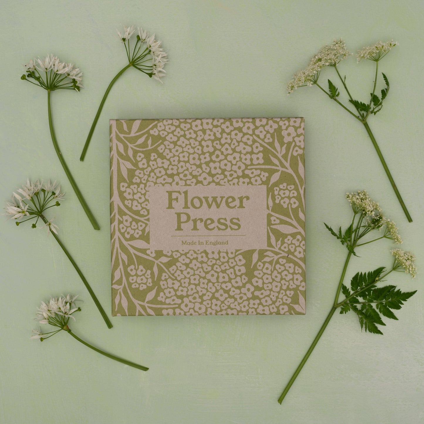 Flower Press - Forget Me Not