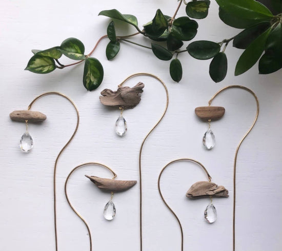 Planty Suncatcher Stick - Driftwood