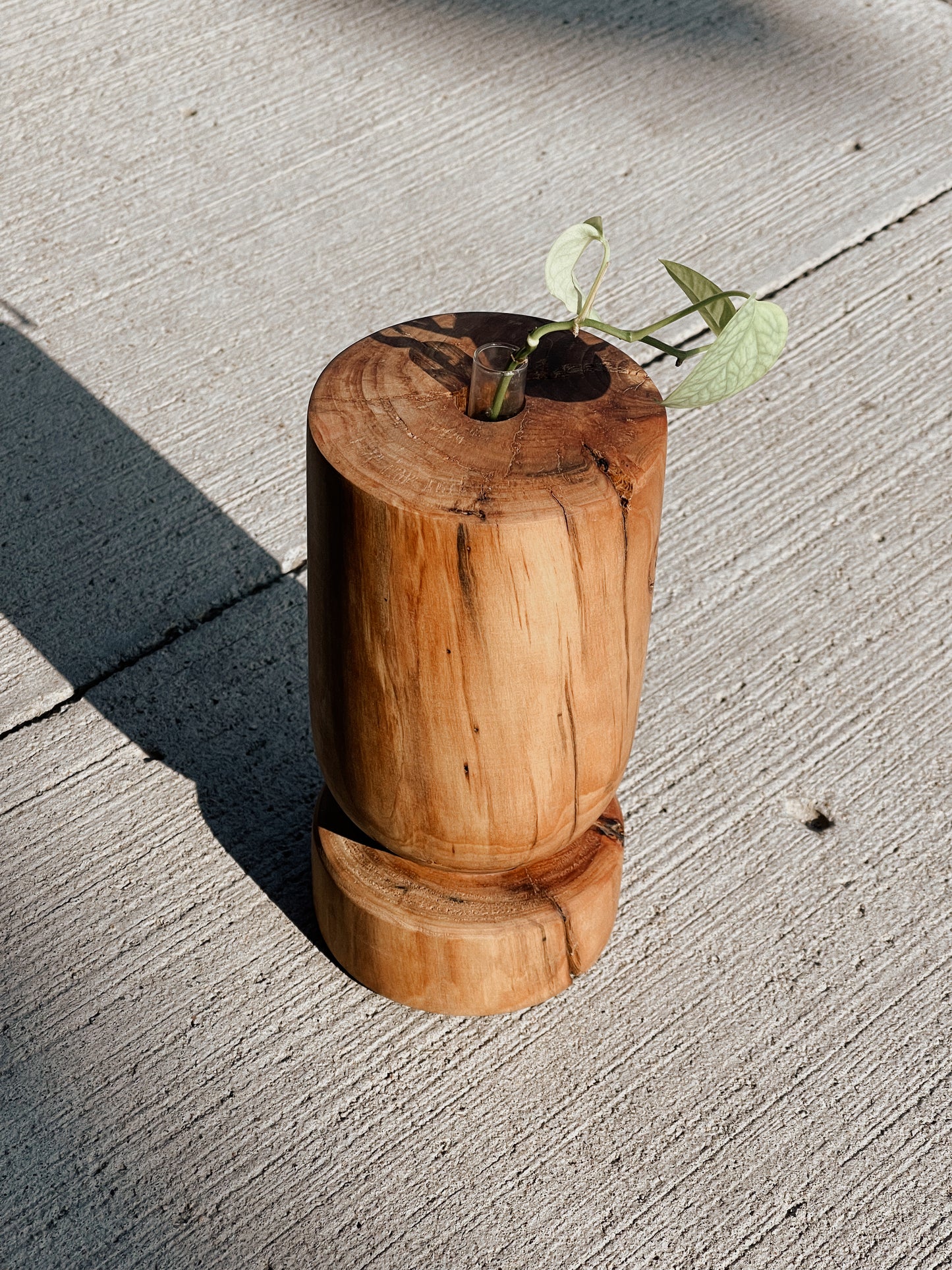 Wooden Propagation Vase