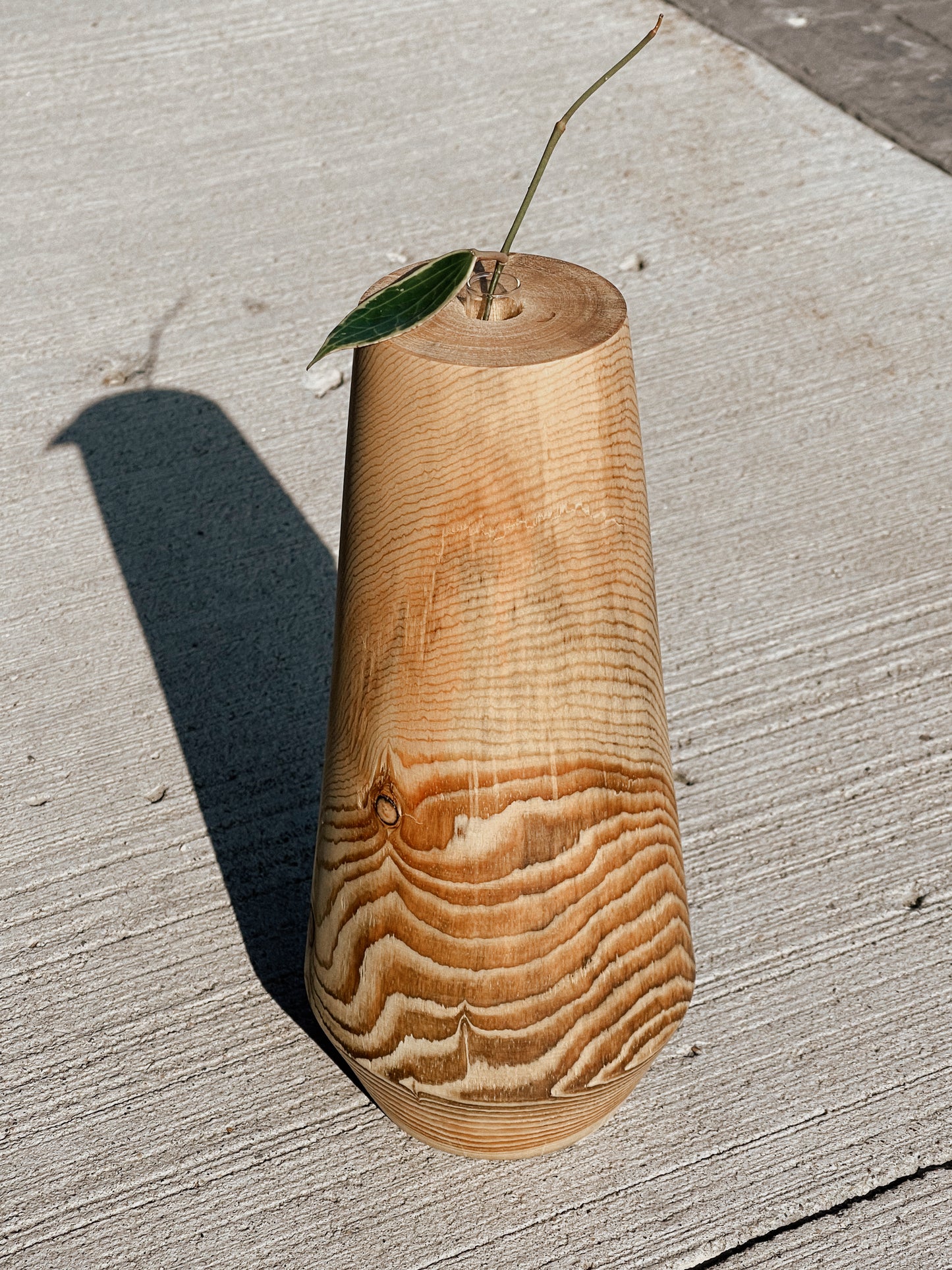 Wooden Propagation Vase