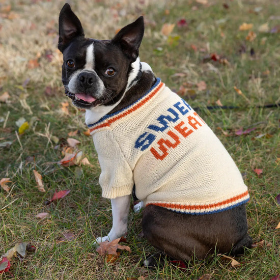 Sweater Weather - Dog Sweater