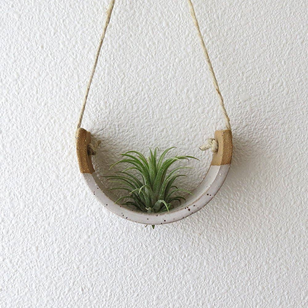 Small Speckle Buff Hanging Air Plant Cradle Dipped in Gloss White Glaze