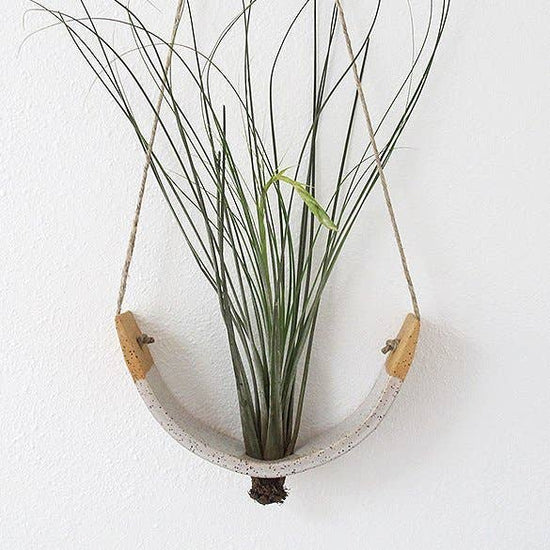 Hanging Ceramic Air Plant Cradle Gloss White Speckled Buff