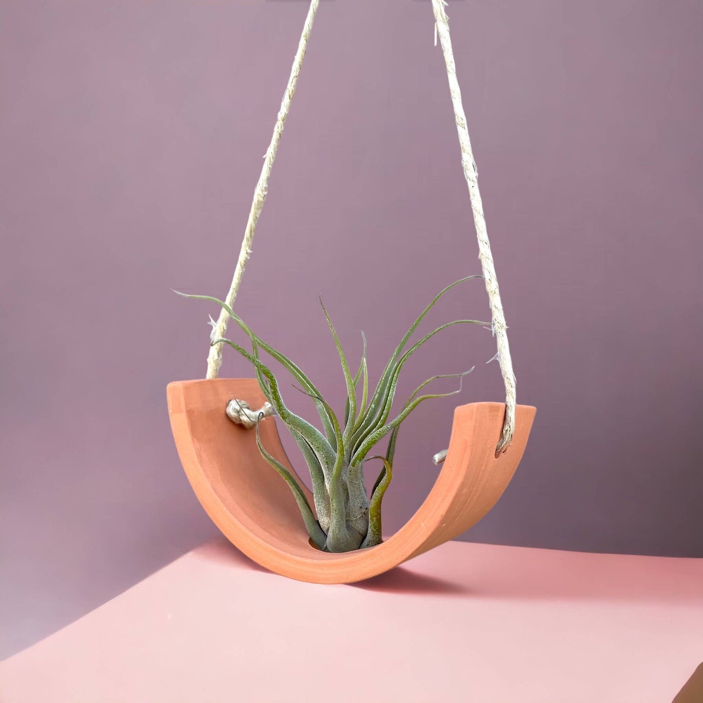 Small Terracotta Hanging Air Plant Cradle