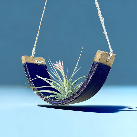 Hanging Air Plant Cradle - Navy Blue Planter Vase