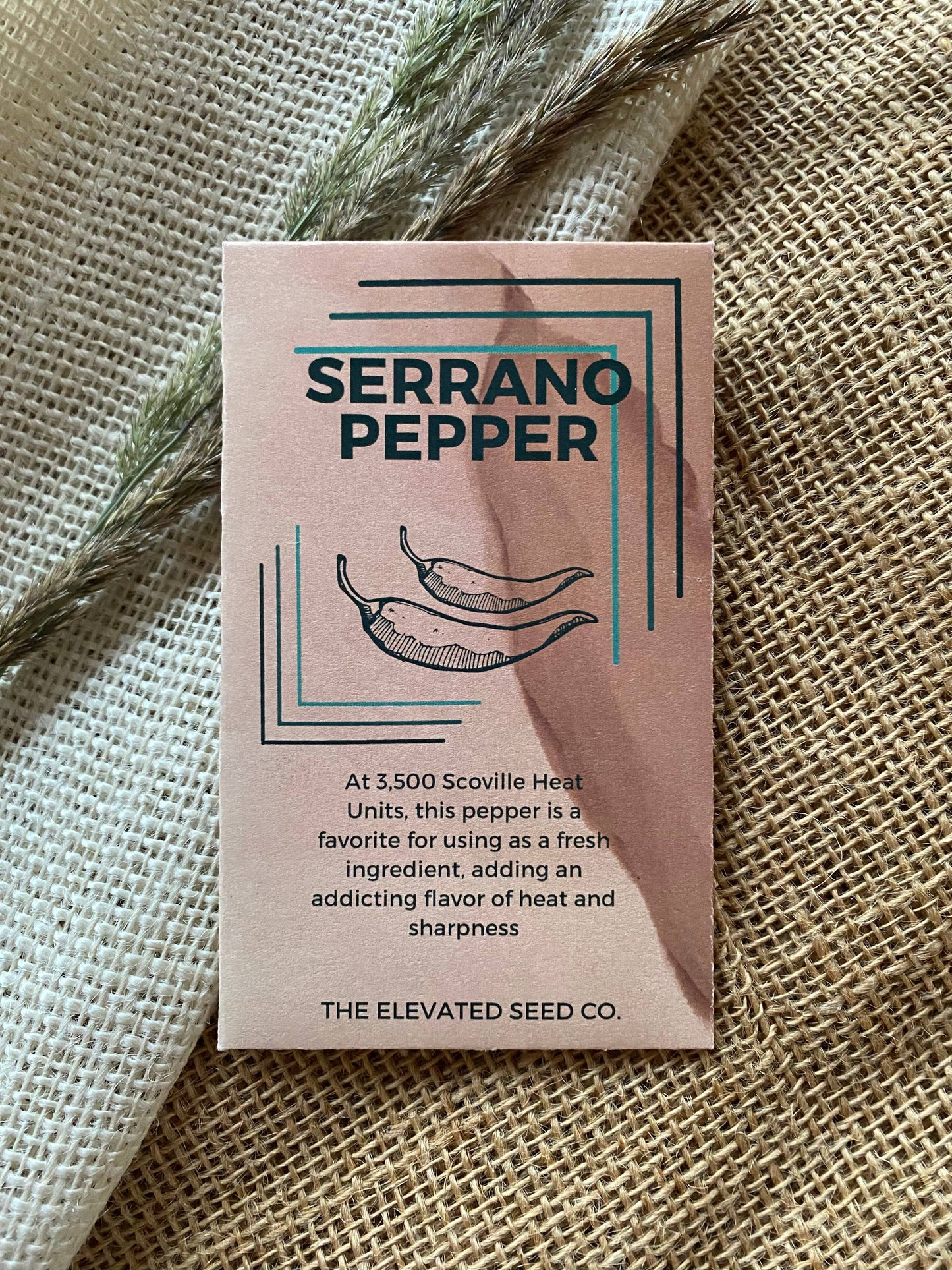Serrano Hot Pepper Garden Seeds